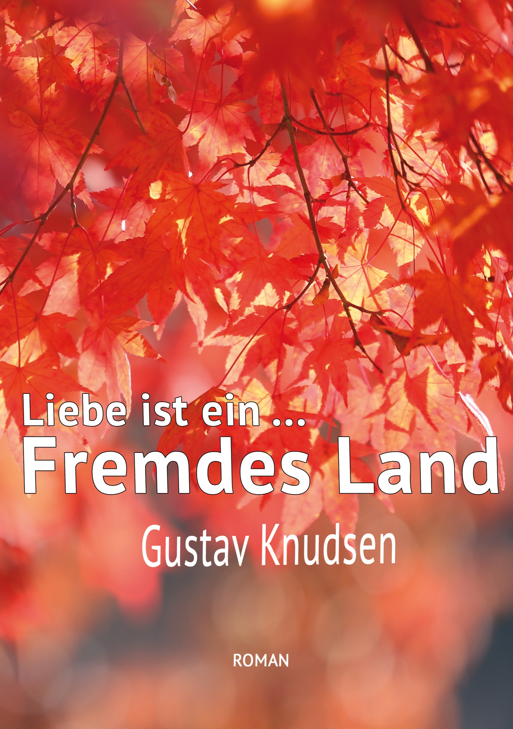 „Liebe ist ein fremdes Land“ – Roman von Gustav Knudsen neu überarbeitet