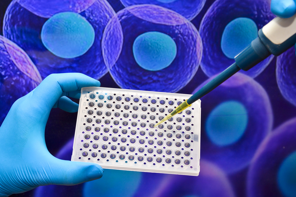 3D Cell Culture