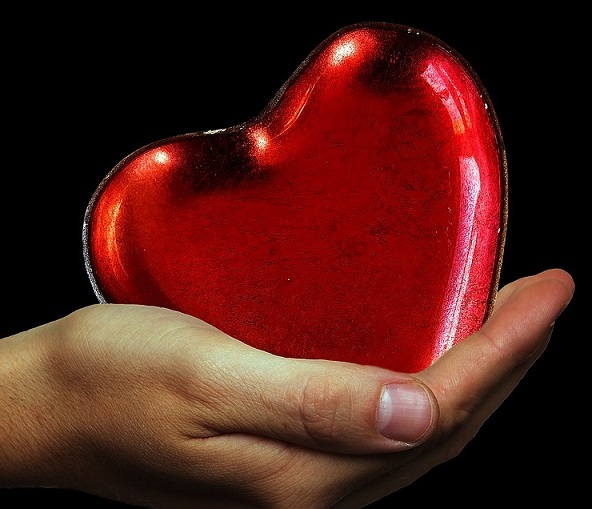 Die Suche nach der großen Liebe