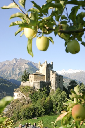 Apfel und Schloss Saint Pierre © S. Ferrandoz