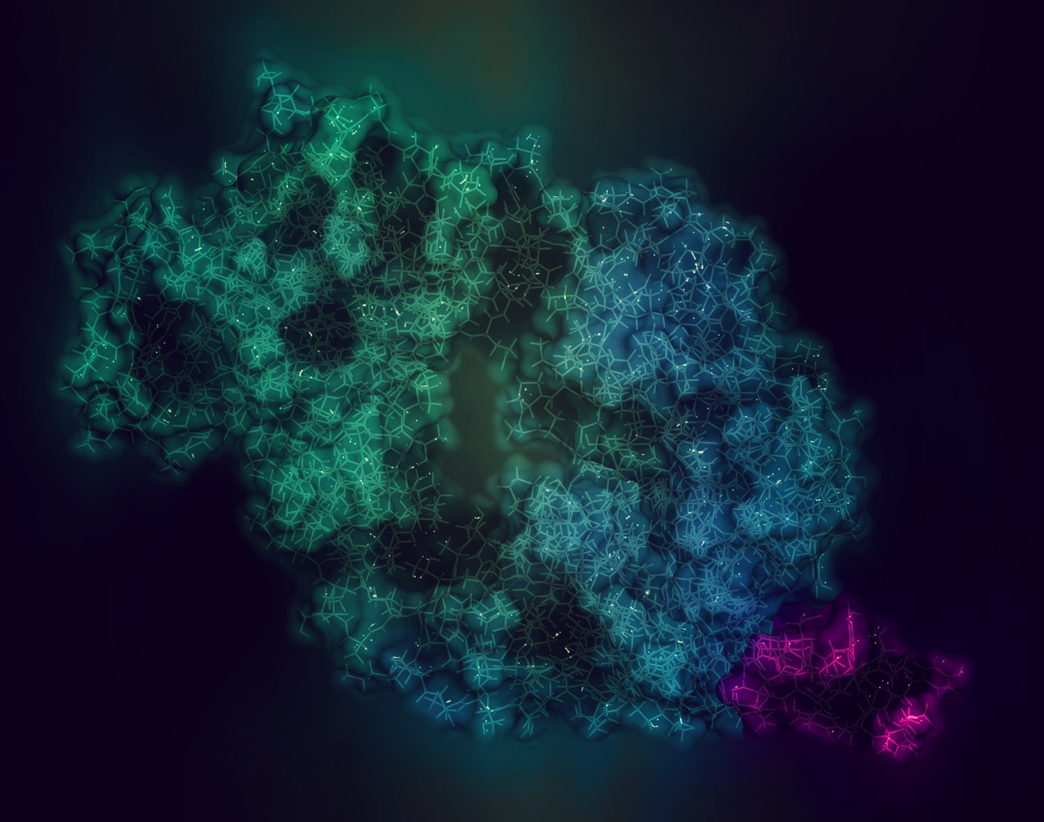 Antimicrobial Peptides