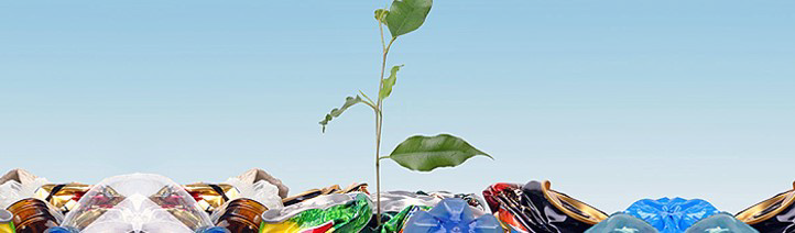 Biobased Biodegradable Plastics