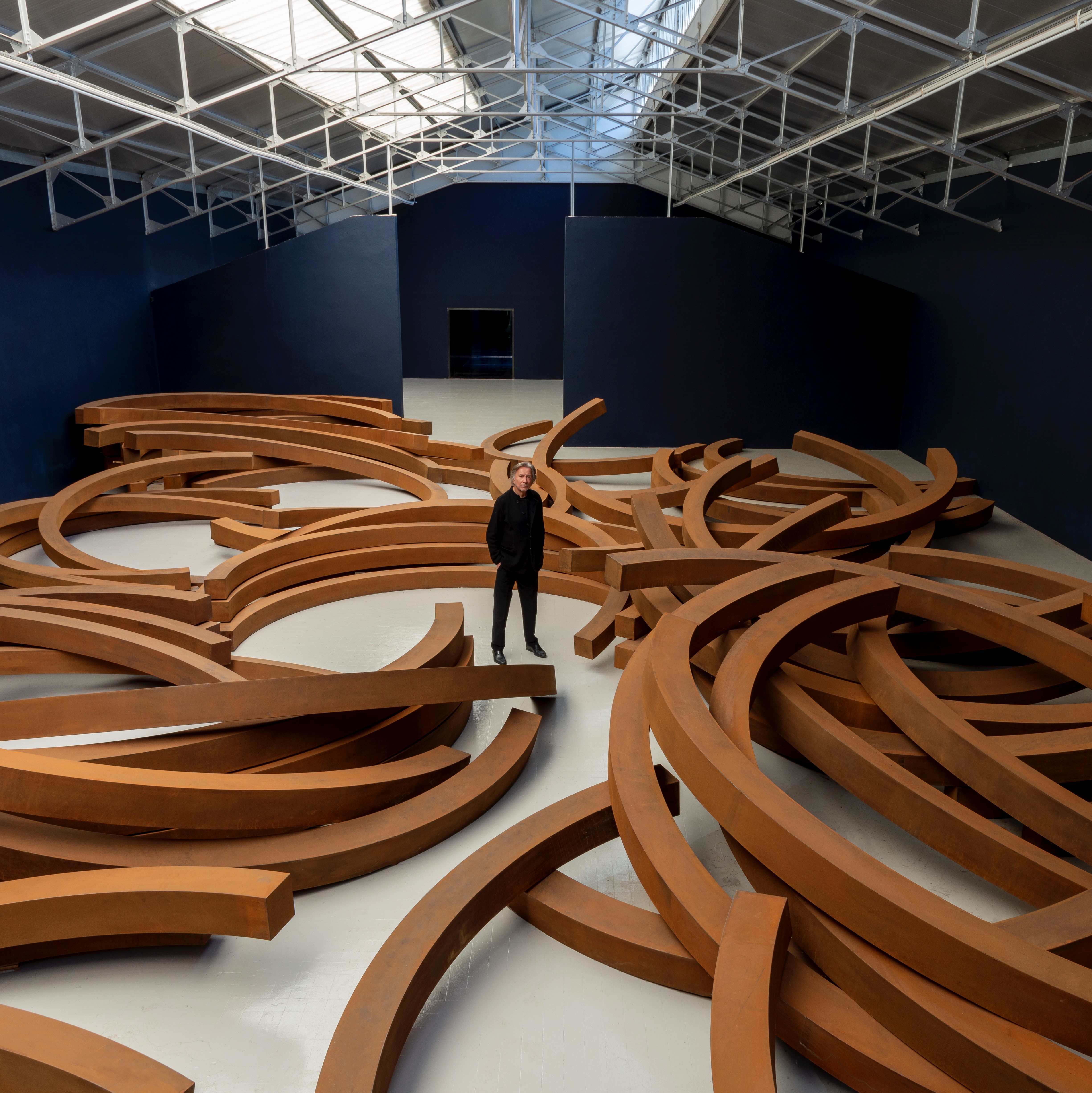 (C) Bernar Venet, AGAGP Paris_Foto Jerome Cavaliere_Bernar Venet