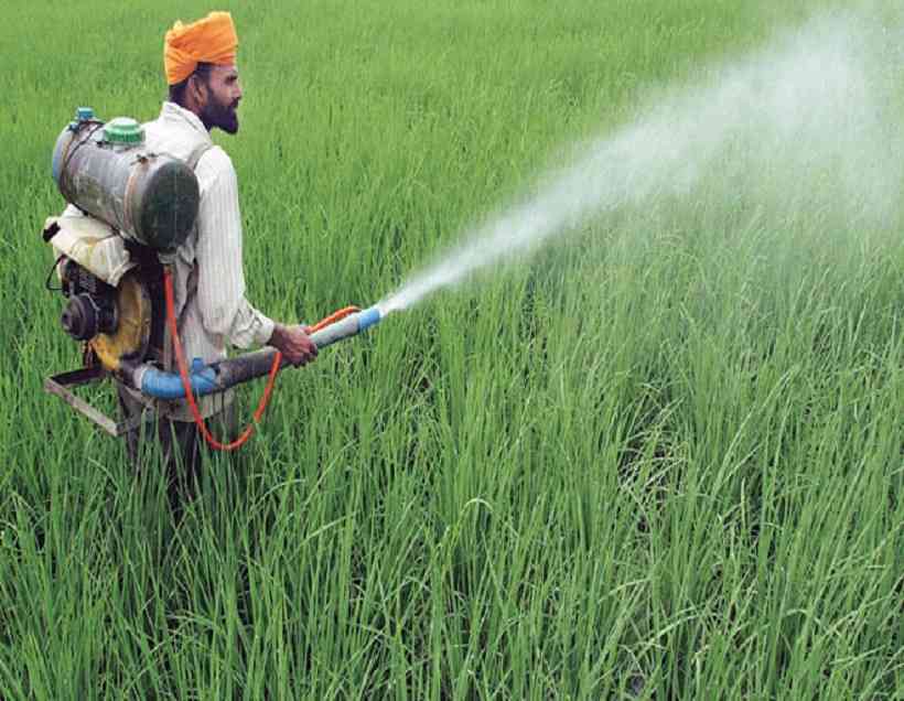 Chemical Pesticides