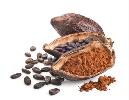 Cocoa Seed Extract