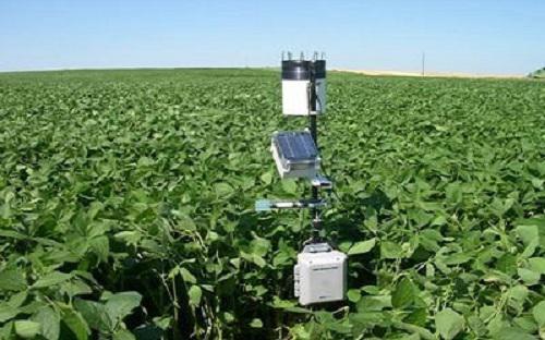 Crop Monitoring Technology in Precision Farming
