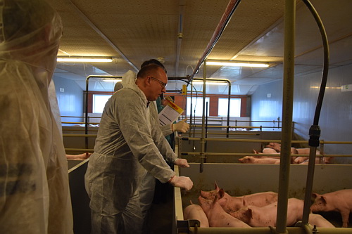 AVA-Fortbildungen helfen Arzneimittel einsparen: Hier Workshop für Tierärzte mit praktischen Übungen im Stall