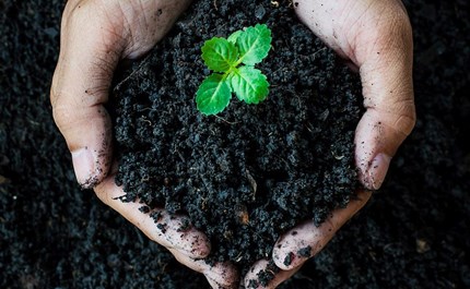 Humic Acid from Peat