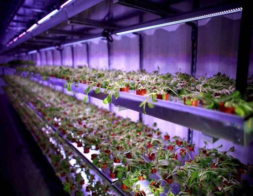 indoor farming technology
