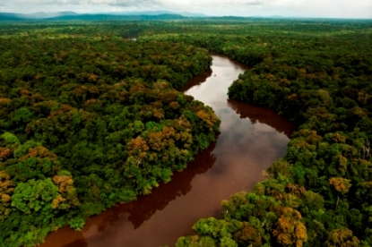 Der Essequibo windet sich durch den Regenwald von Guyana. Foto Pete Oxford