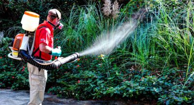 Mosquito Control Service