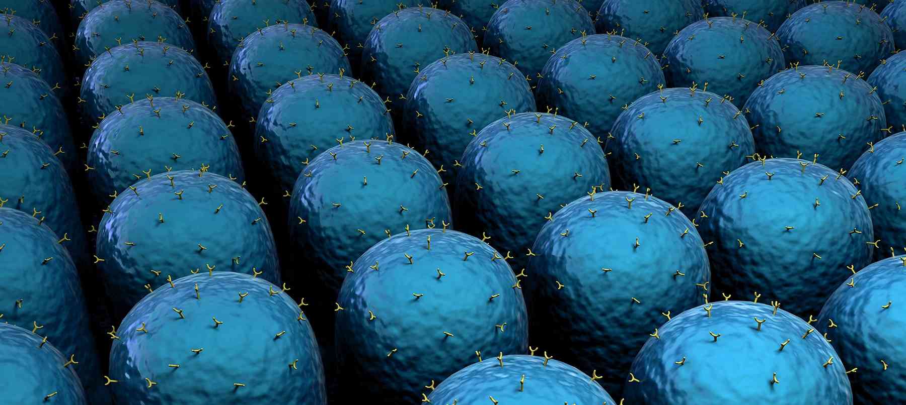 Multiplex Detection Immunoassay