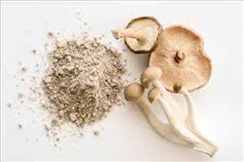 Mushroom Extracts