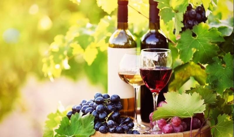 Organic Wine