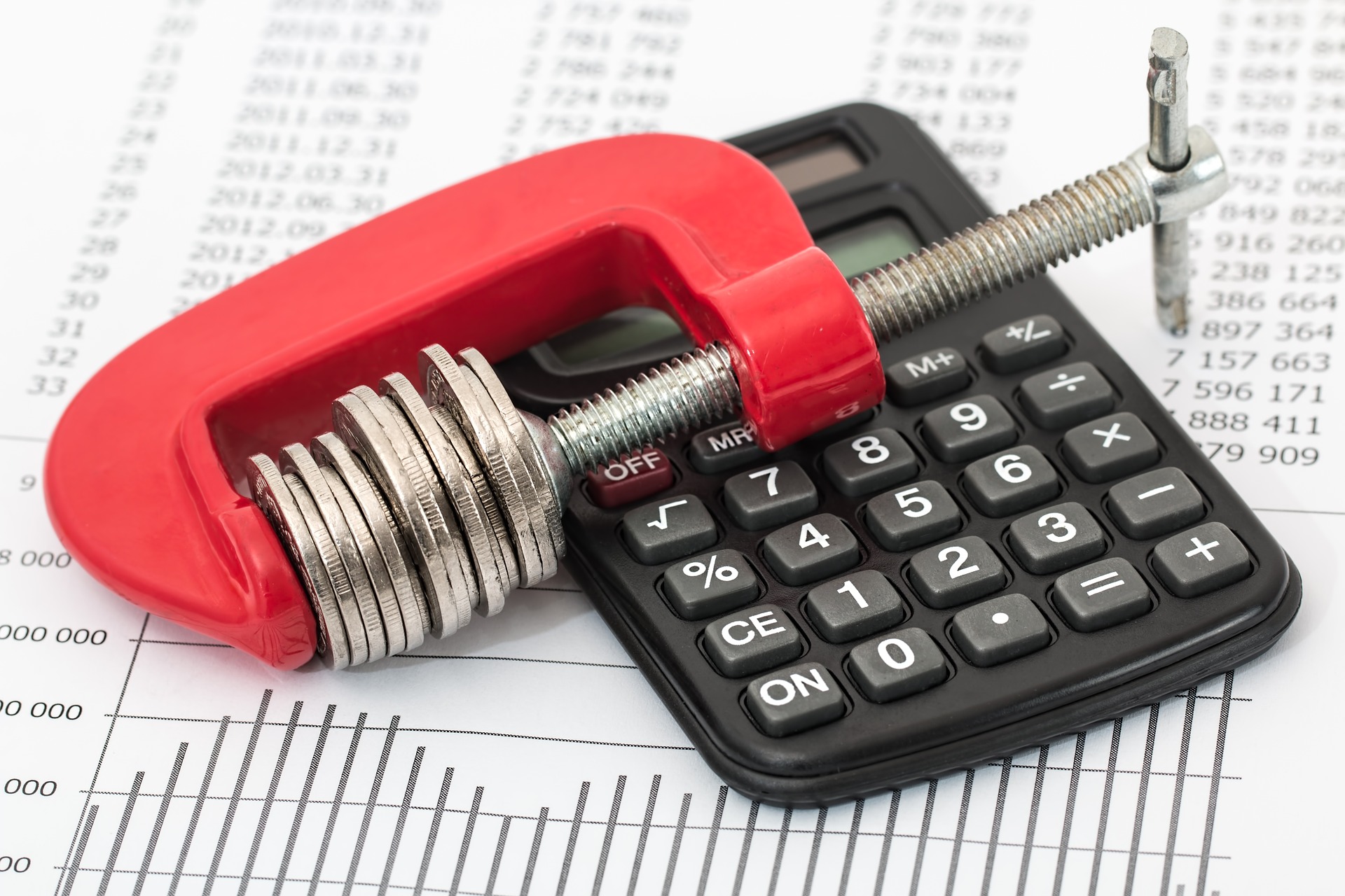 savings budget investment