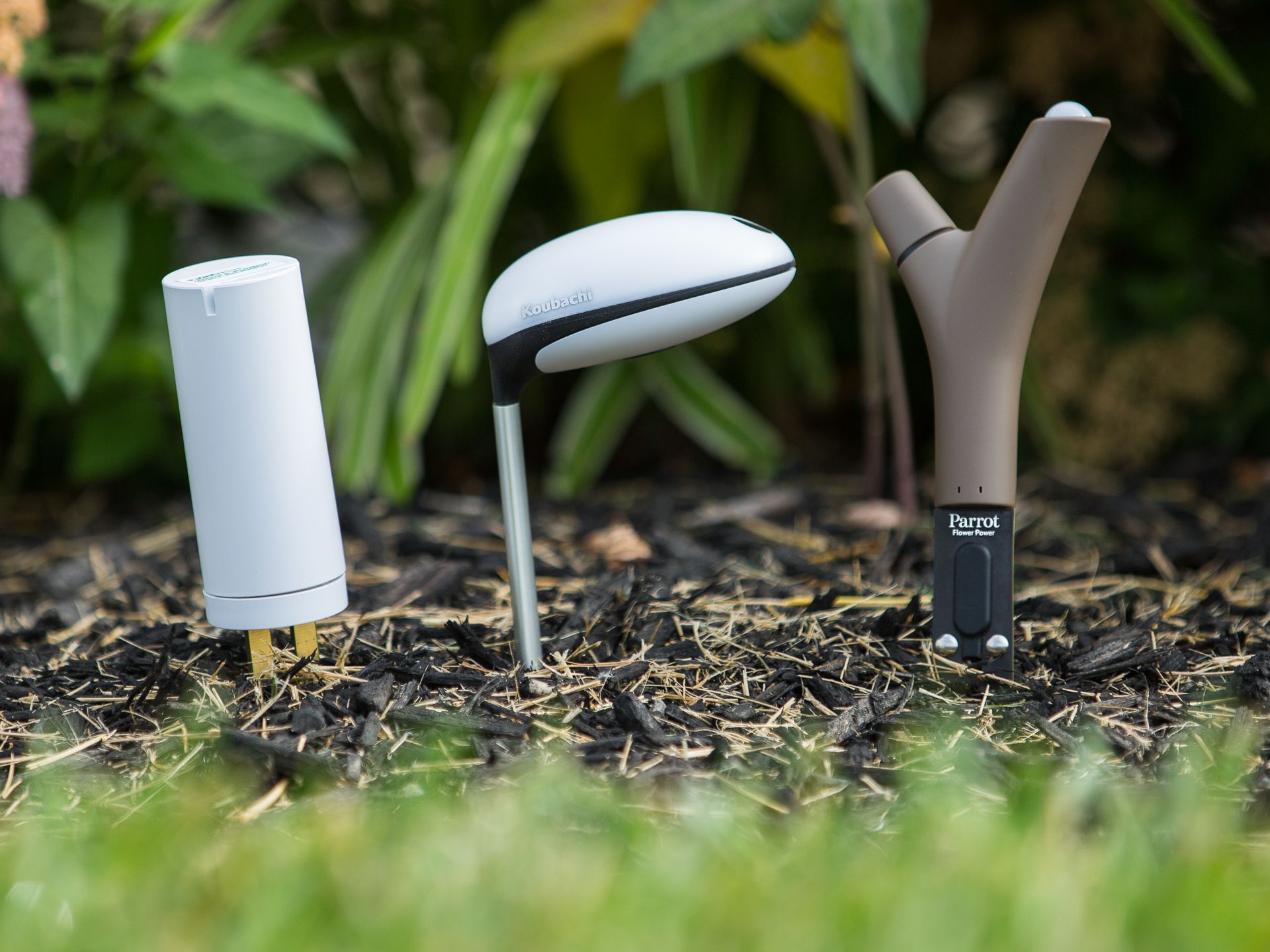 Soil Moisture Monitoring System