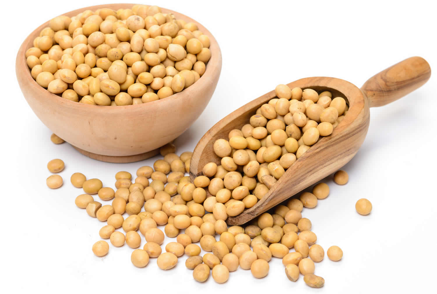 Soybean Phosphatidic Acid