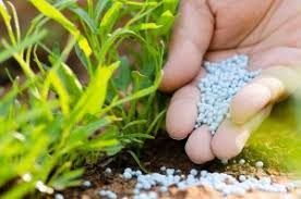 Starter Fertilizer