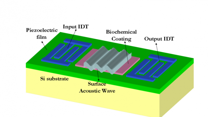 Surface Acoustic Wave Filter