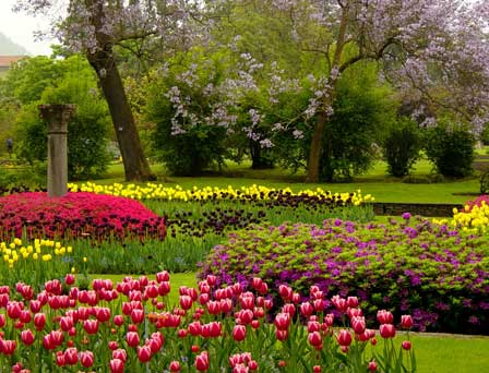 Tulpen in Villa Taranto © Roberto Maggioni