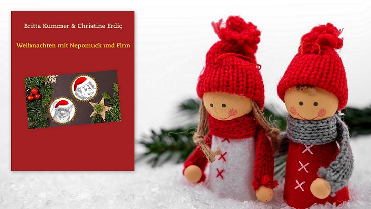 Weihnachten mit Nepomuck und Finn 